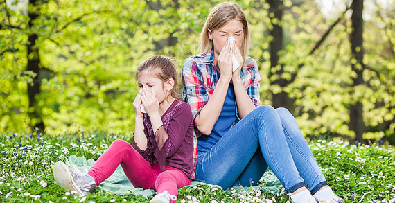 Les allergies respiratoires et les pollens