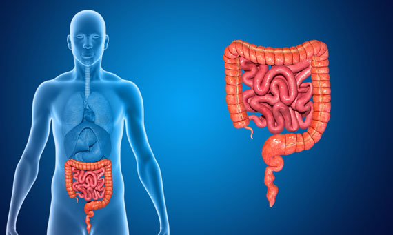 Syndrome de l'intestin irritable