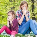 Les allergies respiratoires et les pollens