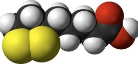L'acide alpha lipoique