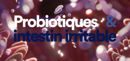 Probiotiques et intestin irritable : quelles souches, quels bénéfices, quelles limites ?