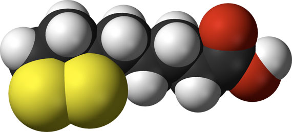 L'acide alpha lipoique