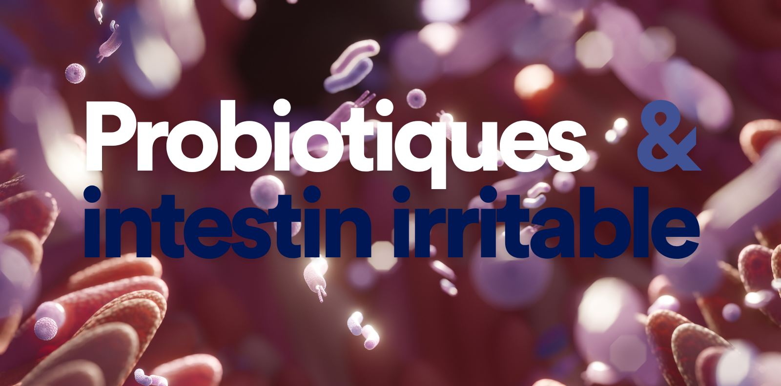 Probiotiques et intestin irritable : quelles souches, quels bénéfices, quelles limites ?